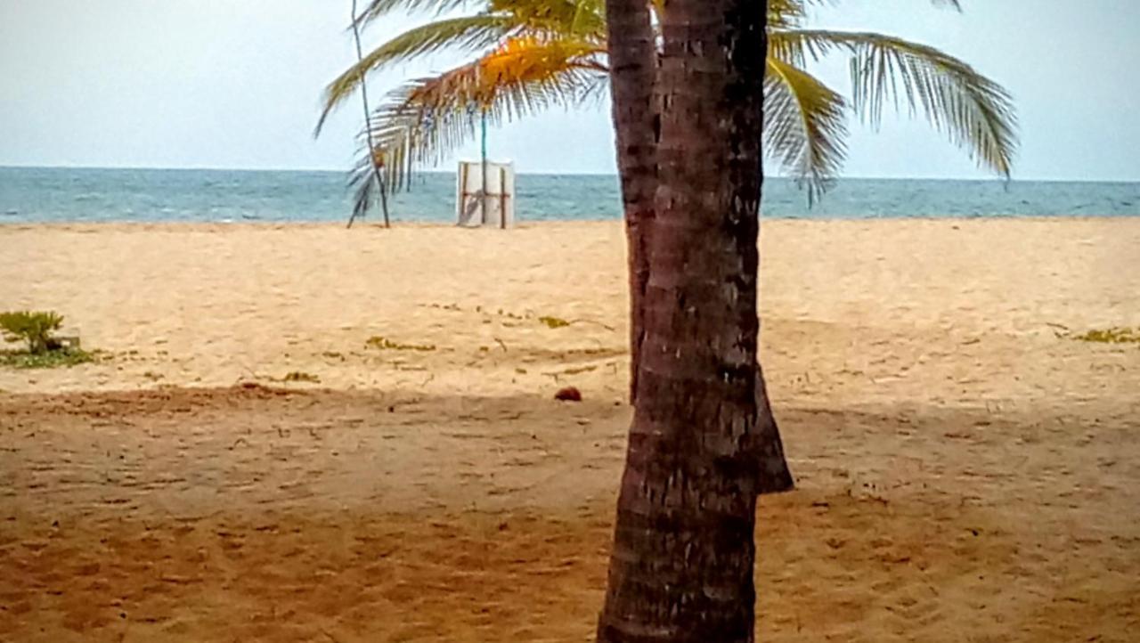 Eco Cabanas Marakolliya Tangalle Exterior photo